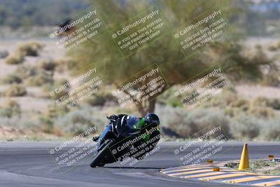 media/Apr-14-2024-SoCal Trackdays (Sun) [[70f97d3d4f]]/1-Turn 5 Tree of Life (920am)/